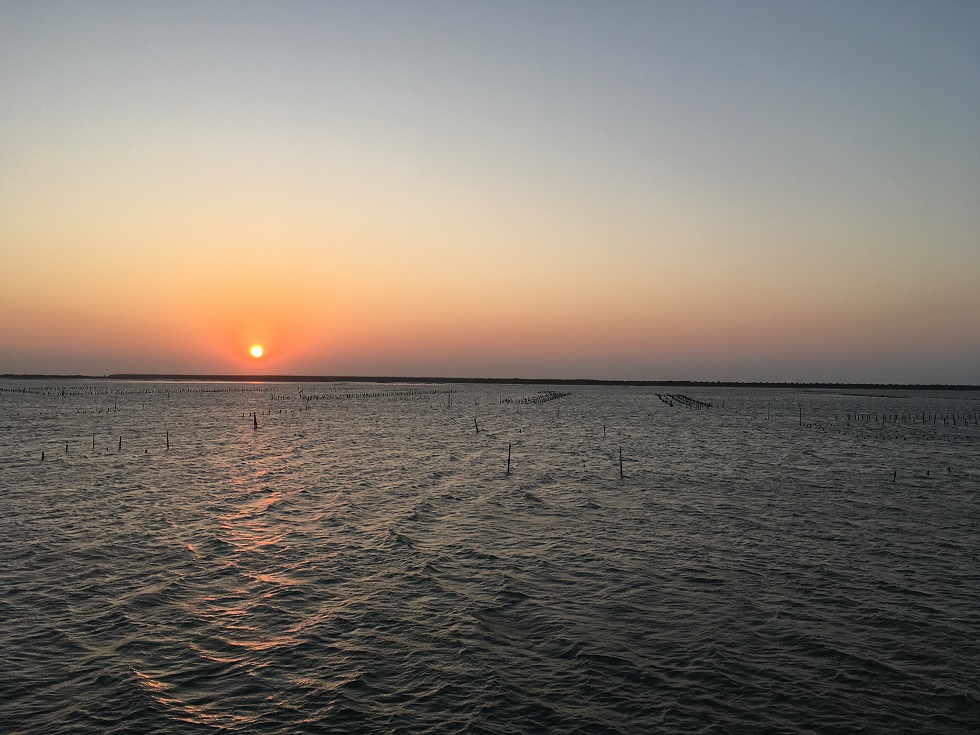 在七股的蚵田和夕陽間，在地的、旅外的，音樂家與小學生，所有人一起參與「聲音的原創」。（《聽海日記》團隊提供）