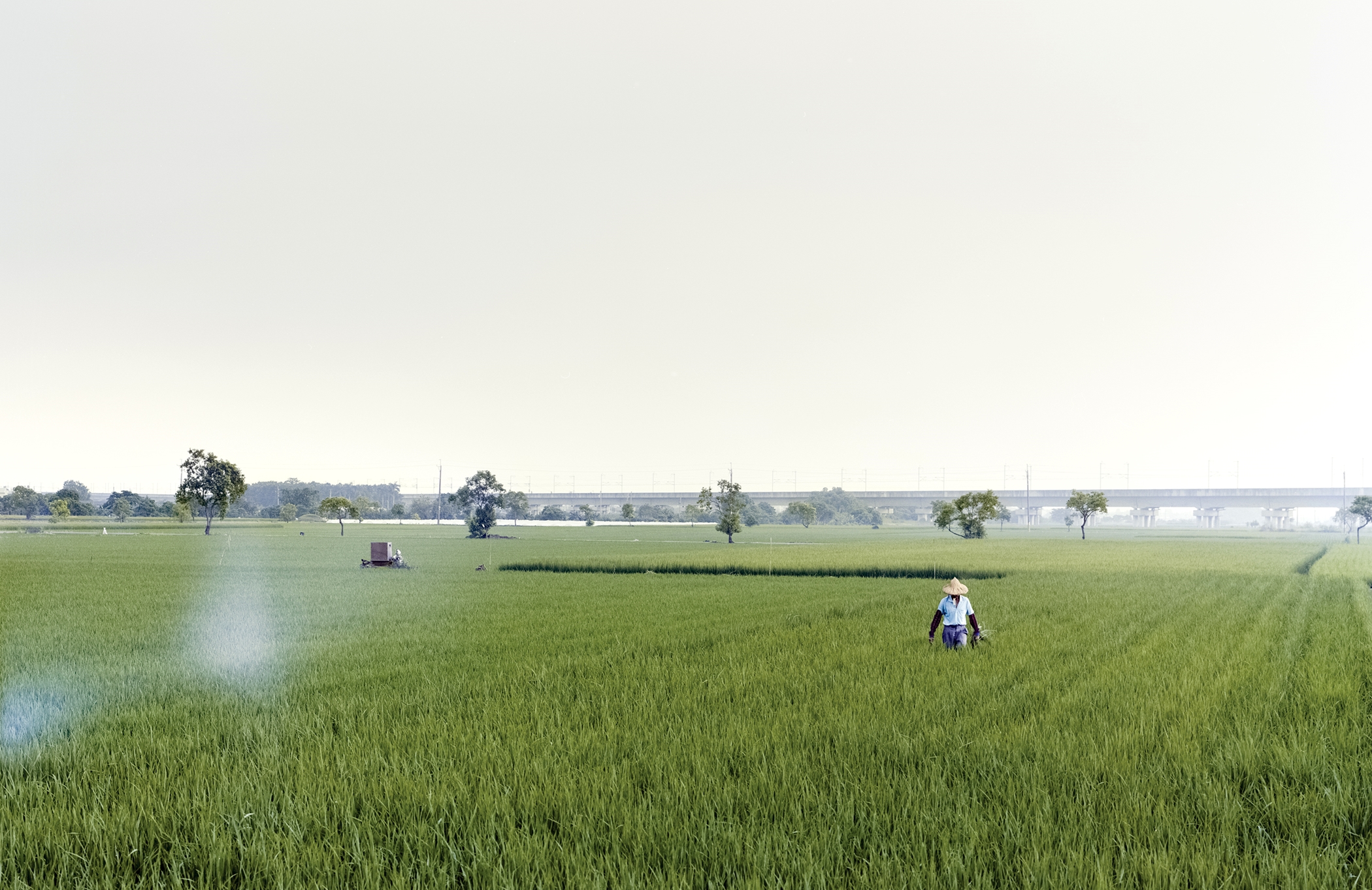 米田知子（Yoneda Tomoko），《Farmer, Rice Field and Railway Viaduct》，2013。