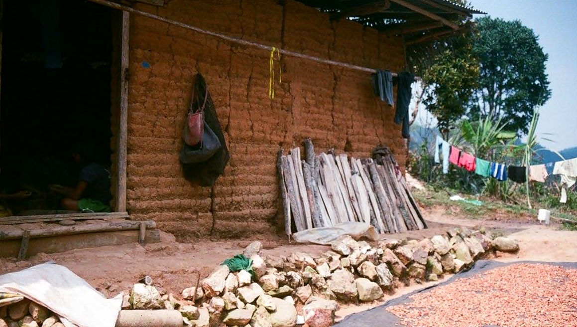 San Roque de Cumbaza的傳統土屋。