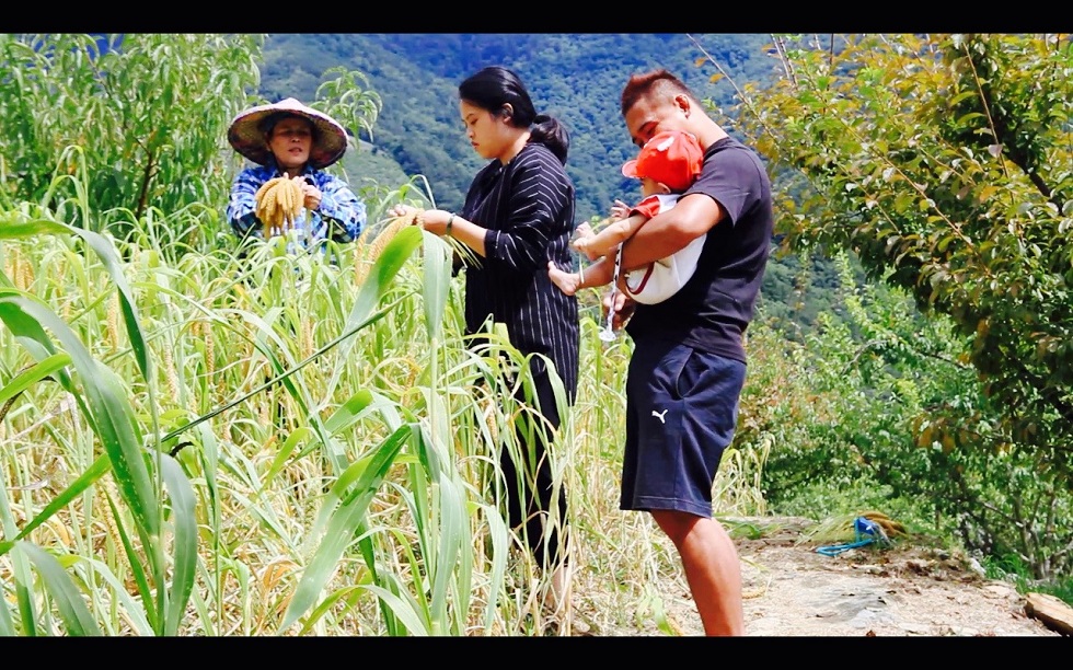 《SPI烤火房的一些夢》挖掘令人掙扎的家族故事。