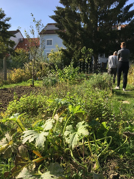 藝術村中的花園，也是兩位創辦人時常待著的地方。