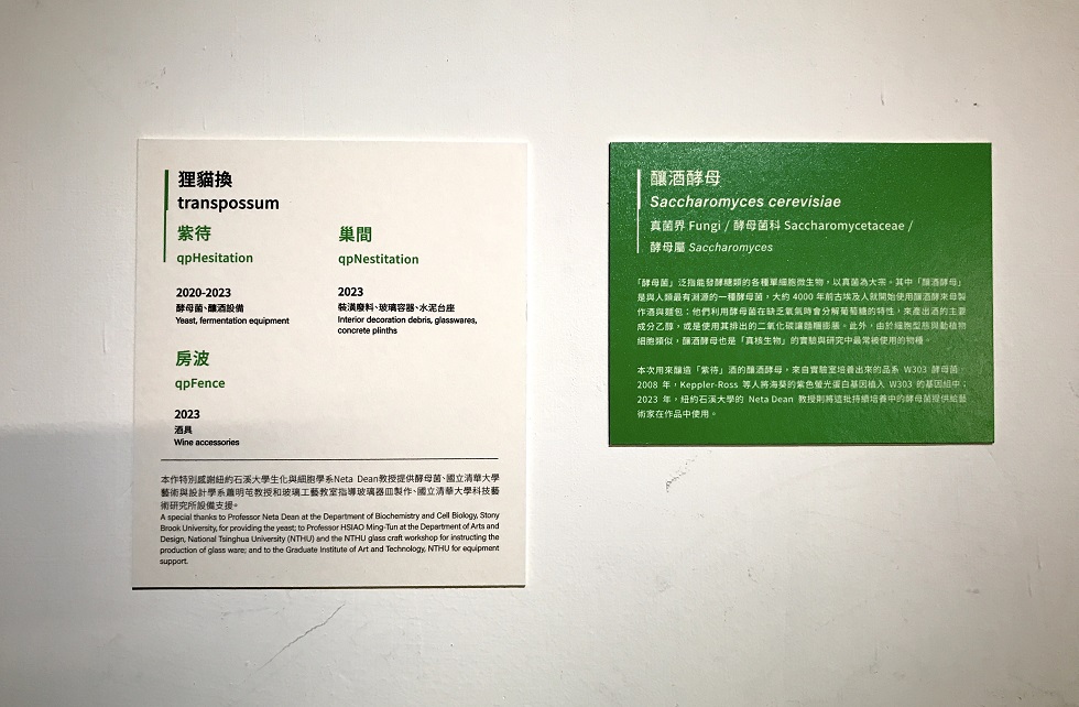 在「酷共生」的展場中，策展人為作品中涉及的非人物種都撰寫了一張綠色的專屬說明牌。（攝影／孫以臻）