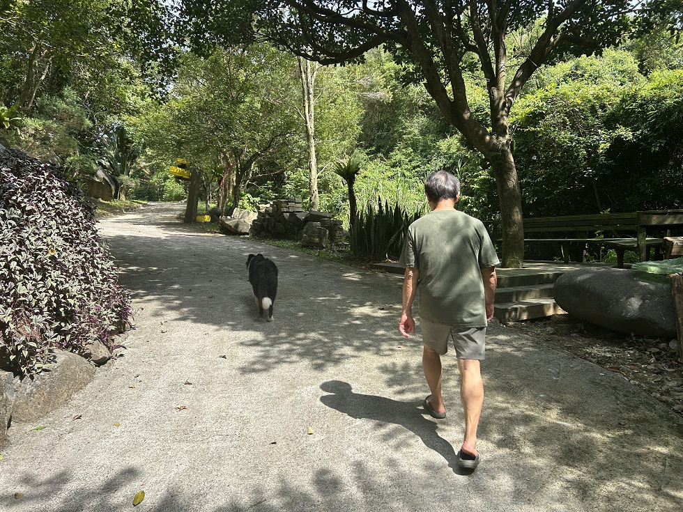 張子隆在北海岸打造的小山房，已從一座充滿手作精神的藝術家之屋，逐漸轉型成為一個小而美的藝術村。（攝影／游崴）