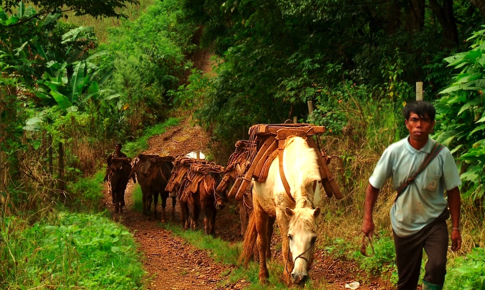 《邊城啓示錄》劇照，泰緬邊境馬幫。（攝影／李立劭）