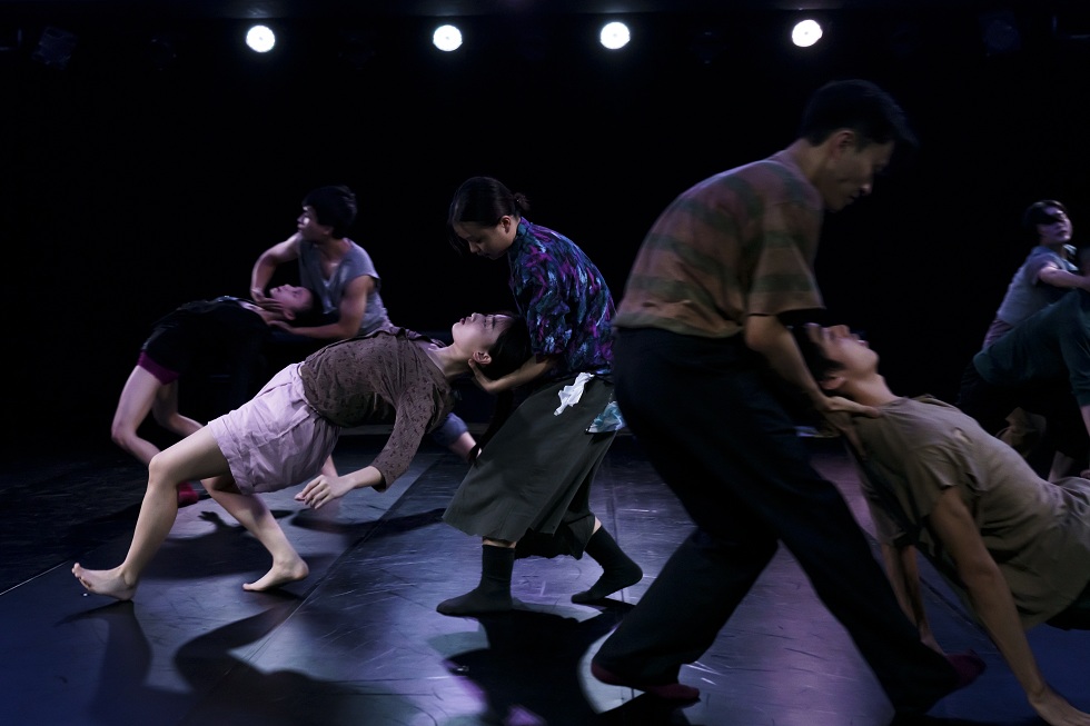 舞蹈空間×林文中《庇護所》，2024。在此作之後，舞蹈空間宣布轉型，將重心移至舞蹈欣賞推廣。