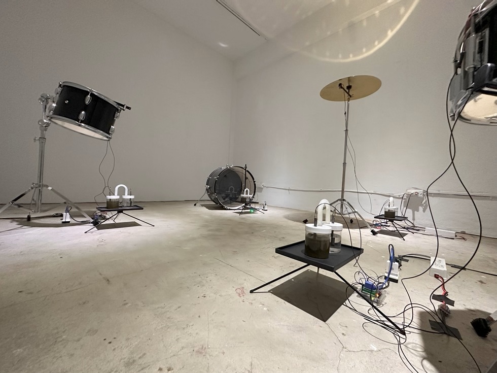 《微生物鼓隊》採集了展場周圍溼地的泥土,利用泥土中的微生物創造聲響。(攝影/王欣翮)