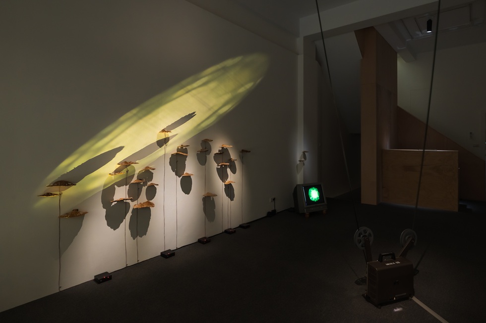 《海綿樹菇雕塑》附著於展場牆面，當傾身觀察，會發現極微弱的聲響，猶如竊竊私語。藝術家自造的「日光」亦不斷緩緩流經。