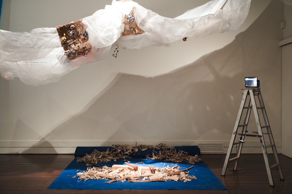 黑色特攻隊的作品《自然與不自然採集》。(攝影/鄭亦婷)