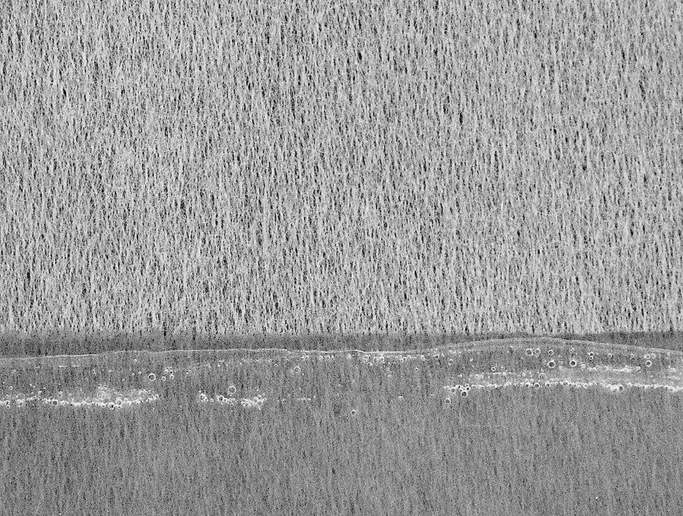 莊馨怡，《記．念16—等一片浪》，蠟、紙、木件、花粉、貝殼，2025（2023）。