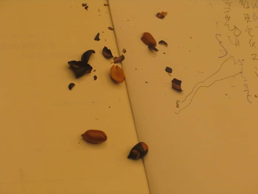 王羅蜜多：「我問藝術，花生是什麼？」