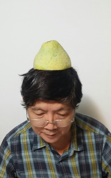 外表古意、內心澎湃的王羅蜜多曰：「阮是小生也是文旦（tuànn）。」