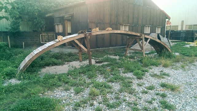 陪伴邱承宏早期創作的木造工作室，現已未再使用。