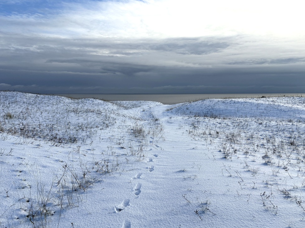 跨越了8300公里終於抵達庫爾斯沙嘴與波羅的海相見。