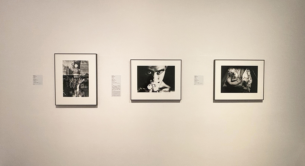 東京國立近代美術館典藏特展，此為由小林紗由里策劃的攝影單元。（賴志婷提供）