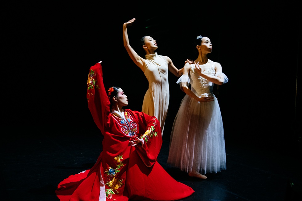 或許是因為衝突與不合時宜，讓《科班生之舞》顯得幽默？