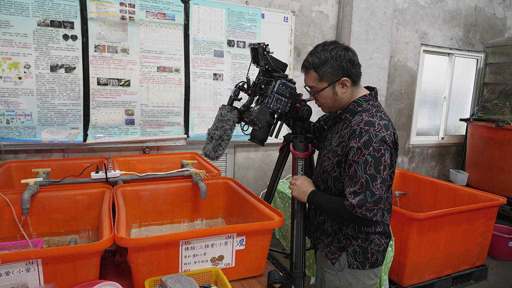 張弘榤不只記錄，更親自領養鱟寶寶，將三年的飼育感觸轉化為影像素材。他期望透過紀錄片的拍攝，將這逐漸消失的生物重新帶回大眾視野。
