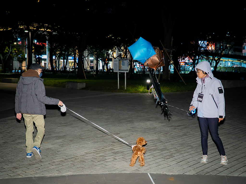 廣場上，遛狗的民眾和遛著寵物氣球的展演參與者。（攝影／林岢霈）