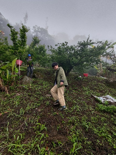 梅樹經常種在陡坡上，田調時婉瑜試著學習梅農保持身體平衡。（囝仔人提供）