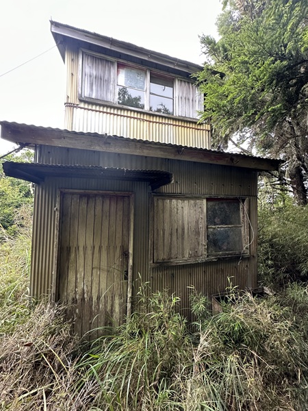 要到達三（角）錐山瞭望台極為艱辛，2024年花蓮大地震後更難到達。（攝影／葉則慶）