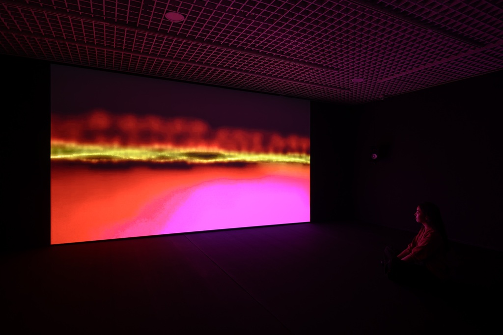 蘇珊．希勒，《回響（紅外線）》，單頻道錄像投影，30'，2013。
