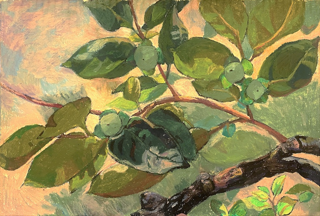 《小柿子》，墨、蠟筆，26×38 cm，2021。